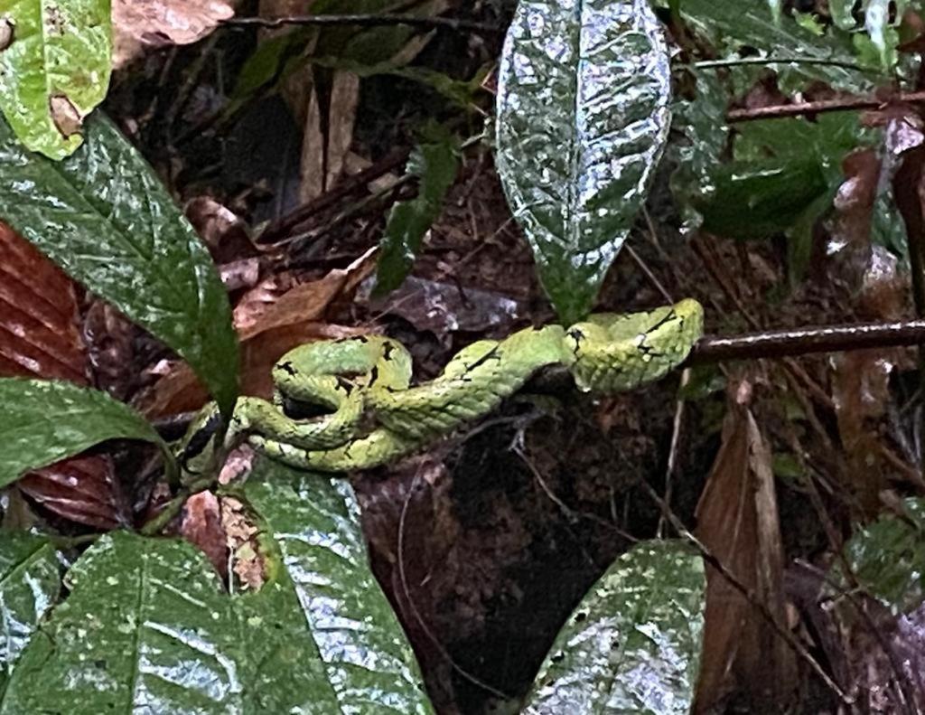 Rainforest Holiday Inn Deniyaya Bagian luar foto