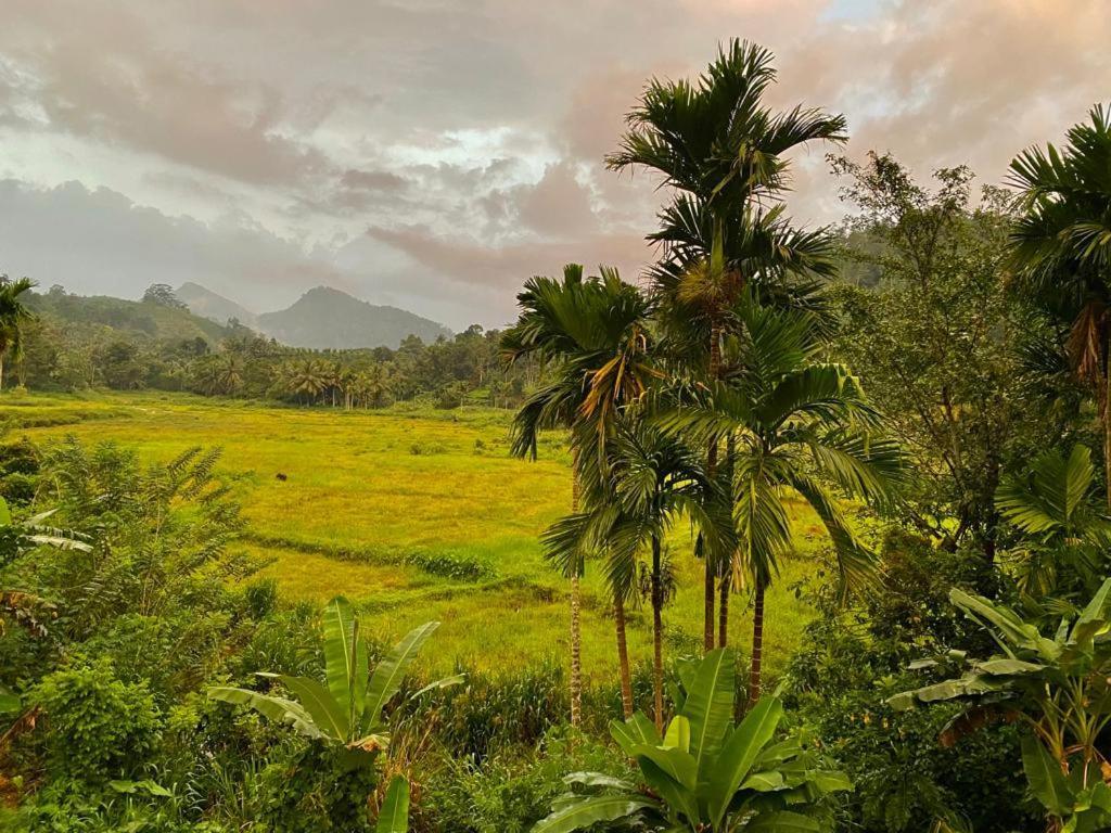 Rainforest Holiday Inn Deniyaya Bagian luar foto