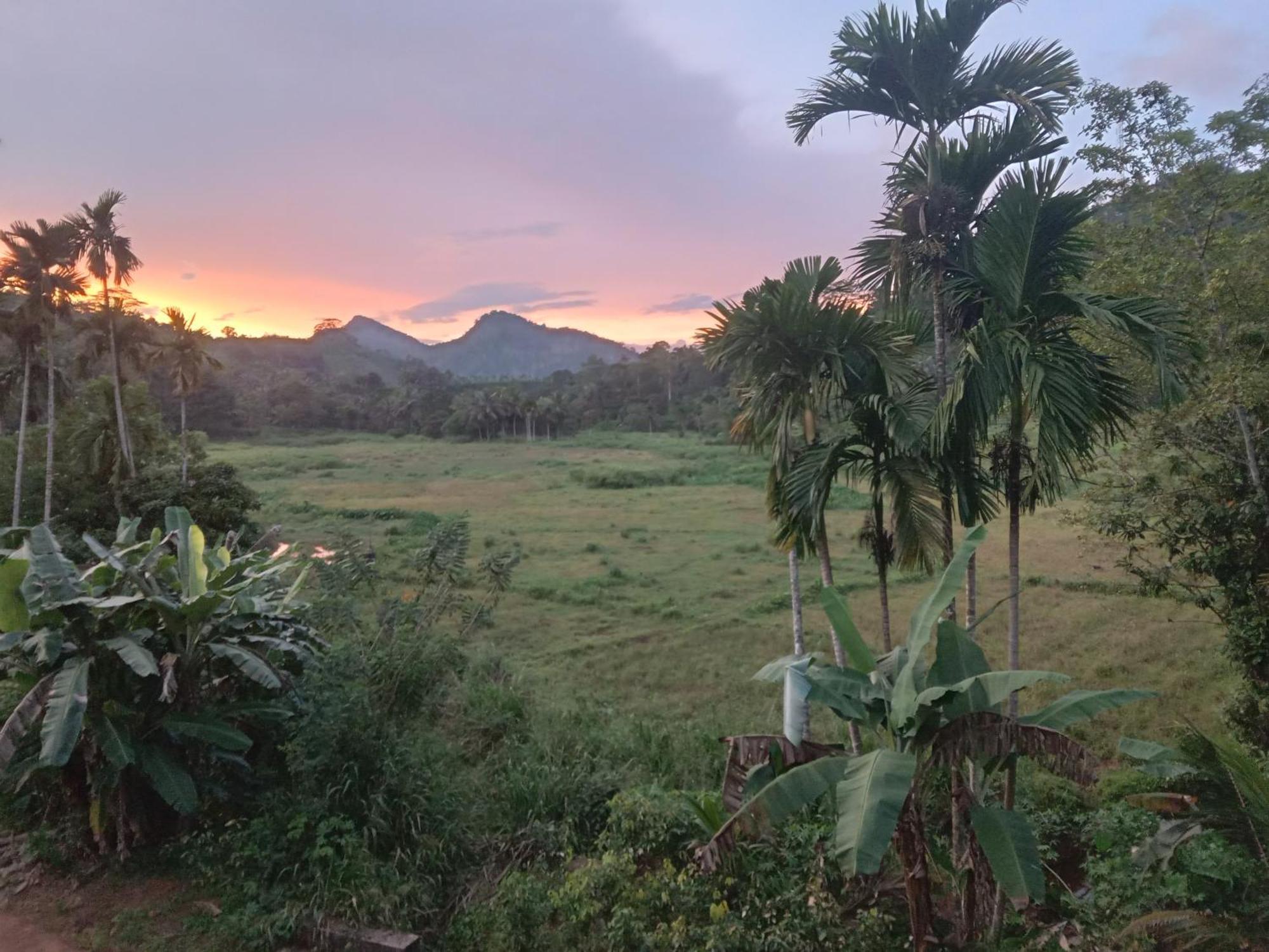 Rainforest Holiday Inn Deniyaya Bagian luar foto