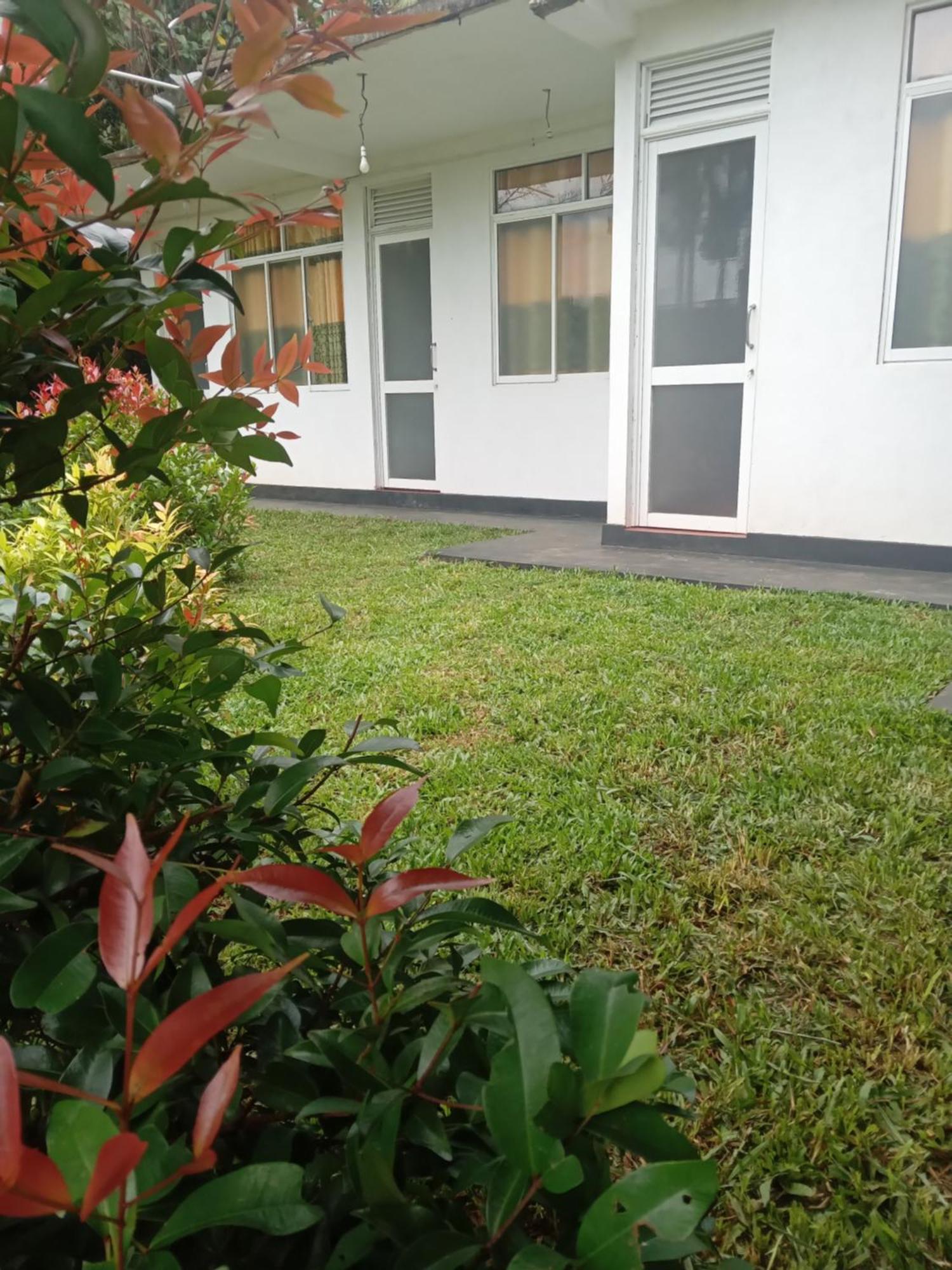 Rainforest Holiday Inn Deniyaya Bagian luar foto