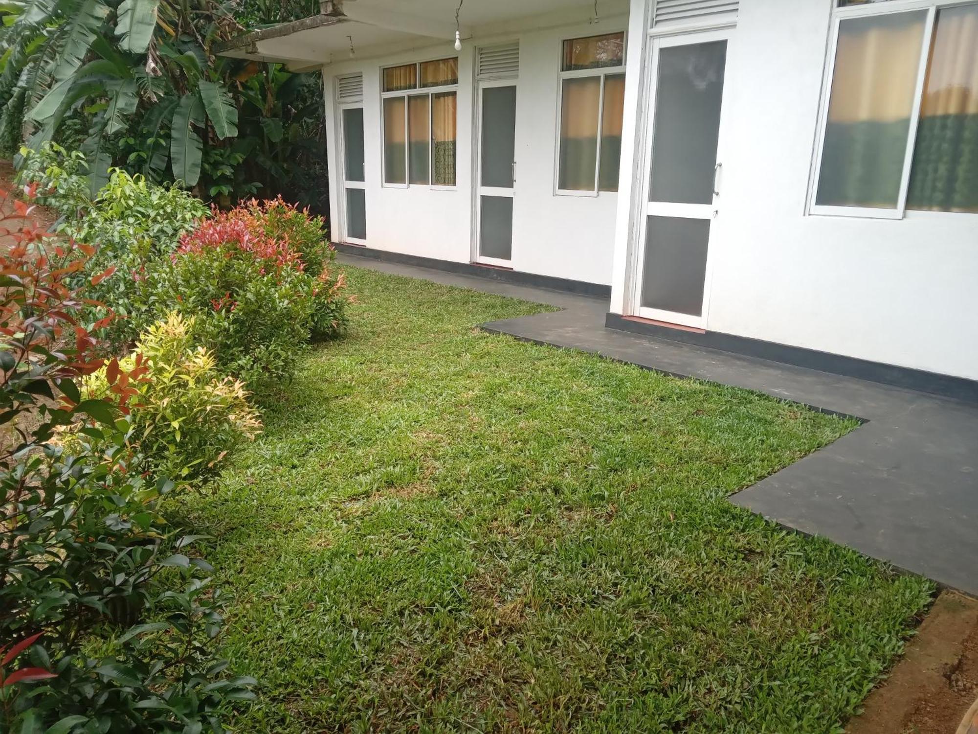 Rainforest Holiday Inn Deniyaya Bagian luar foto