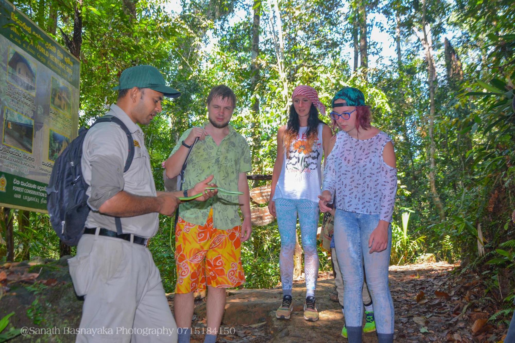Rainforest Holiday Inn Deniyaya Bagian luar foto