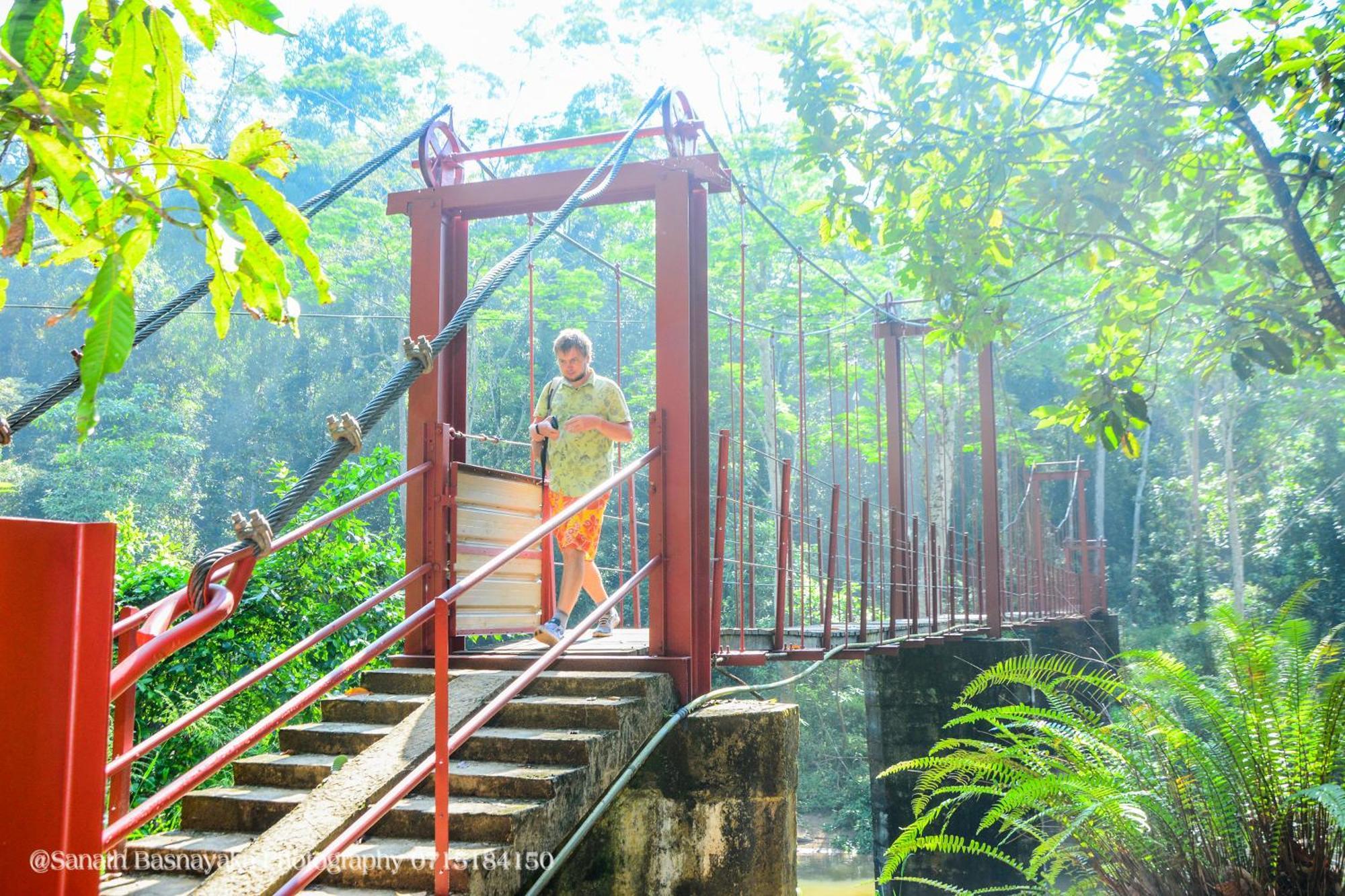 Rainforest Holiday Inn Deniyaya Bagian luar foto