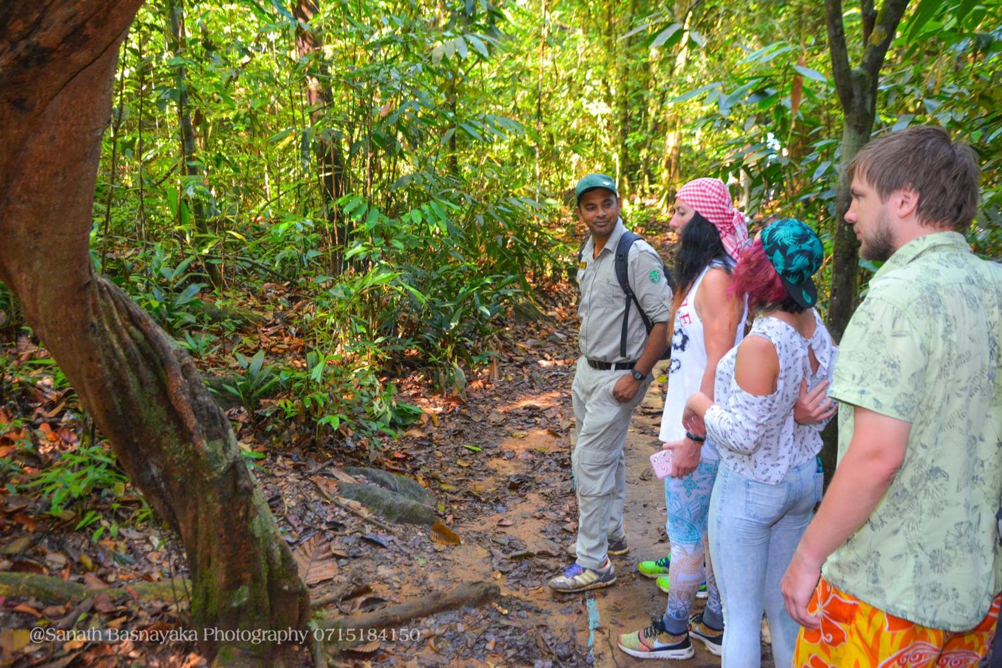Rainforest Holiday Inn Deniyaya Bagian luar foto