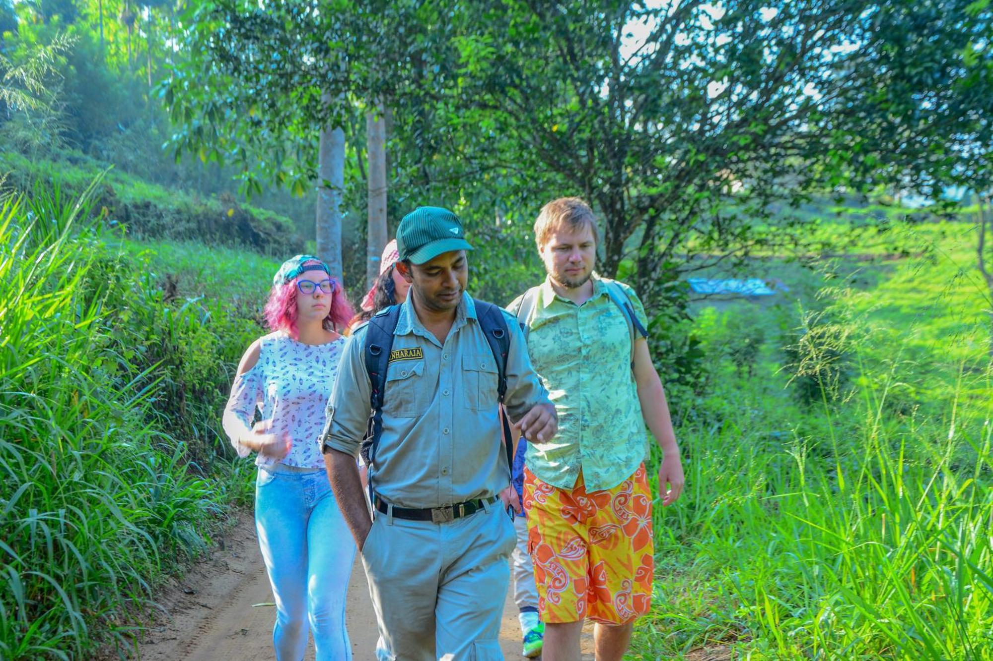 Rainforest Holiday Inn Deniyaya Bagian luar foto