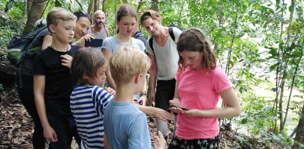 Rainforest Holiday Inn Deniyaya Bagian luar foto