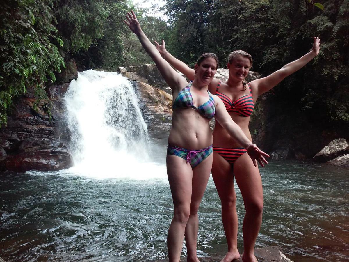 Rainforest Holiday Inn Deniyaya Bagian luar foto