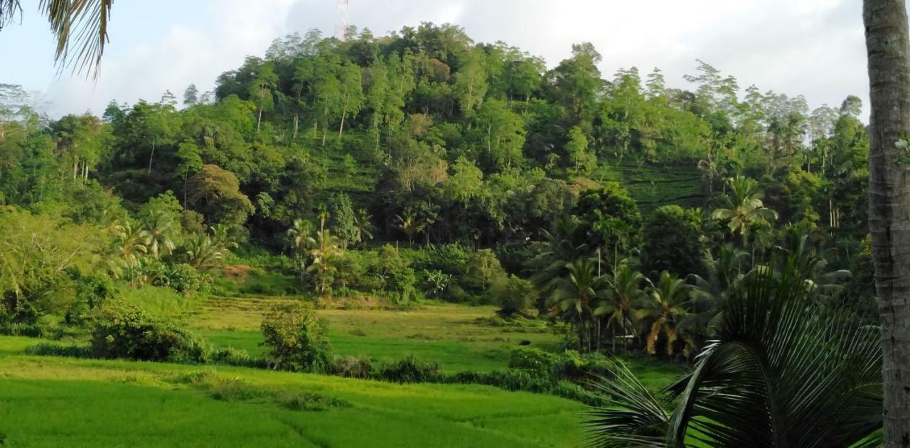 Rainforest Holiday Inn Deniyaya Bagian luar foto